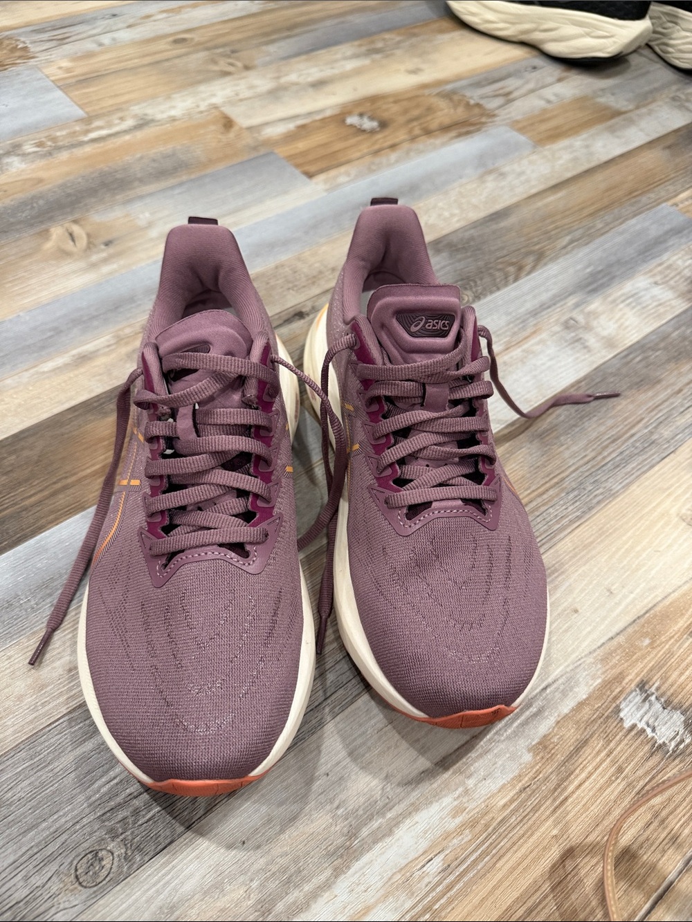 ASICS GT-2000 13 Women's Mauve Athletic Running Shoes